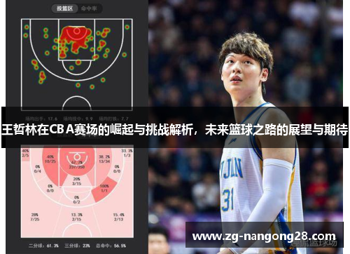 王哲林在CBA赛场的崛起与挑战解析，未来篮球之路的展望与期待