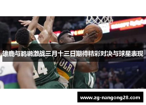 雄鹿与鹈鹕激战三月十三日期待精彩对决与球星表现